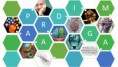 /album/fotogaleria/paradigma-de-la-complejidad-jpg/